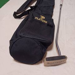 ゴルフ パター オデッセイ デュアルフォース ロッシⅡ   Odyssey Dual Force Rossie Ⅱの画像