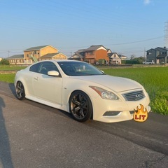 ckv36  明日まで限定です。