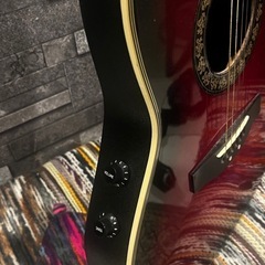 エレアコ　ギターの画像