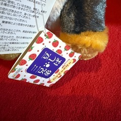 豆しば三兄弟ぬいぐるみ 真ん中の子は中ぐらいの大きさです。の画像