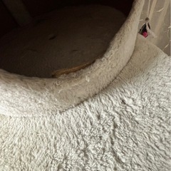 キャットタワーの画像