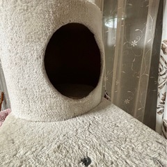 キャットタワーの画像