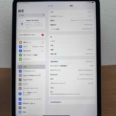 iPad の画像