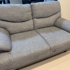 ニトリソファ　　キャッツ3GYの画像