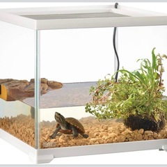 爬虫類ケージ・水槽(W31.6×D31.6×H28.2cm)の画像