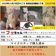 【迷子犬】【二子玉川】捜索にご協力いただけないでしょうか