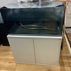 90センチ水槽の画像