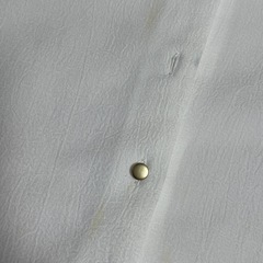 半袖　ブラウスの画像