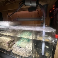 アクリル水槽セットの画像