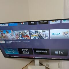 ORION 50インチ 4K チューナーレステレビ SAUD501 TVボードとセット 動作良好の画像