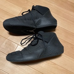 NIKE　air jordan why not zero 1 low 26cmの画像