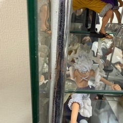 ディスプレイ棚の画像