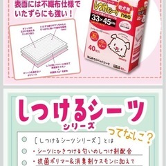 ボンビアルコン (Bonbi) しつけるシーツ幼犬用neoレギュラーサイズ 40枚 レギュラーの画像