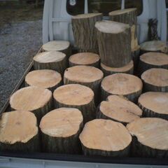 【玉切薪☆大変お得☆広葉樹☆約300kg以上】 ★1207の画像