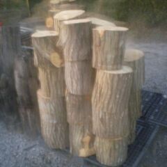 【玉切薪☆大変お得☆広葉樹☆約300kg以上】 ★1207の画像