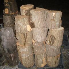 【玉切薪☆大変お得☆広葉樹☆約300kg以上】 ★1207の画像