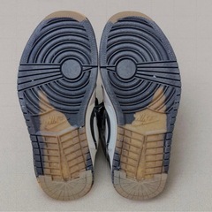 【GORE-TEX仕様】Air Jordan 1 Element 27.5cmの画像