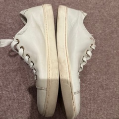 DOLCE&GABBANAスニーカーの画像