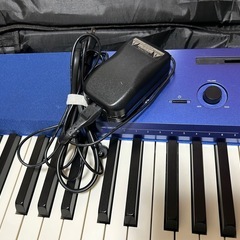 カシオ（CASIO）電子ピアノ Privia PX-A100の画像