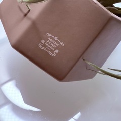 AOYAMA　Flower marketの画像