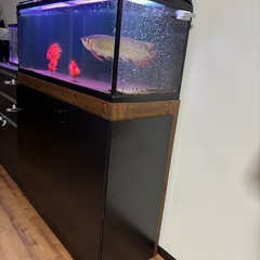 ガラス水槽1200×450×450上部濾過と水槽棚の3点セットの画像