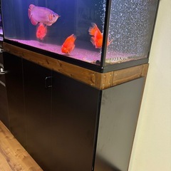 ガラス水槽1200×450×450上部濾過と水槽棚の3点セットの画像