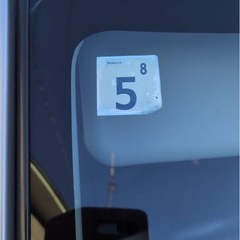 スティンググレーの画像