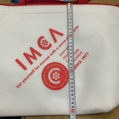 大きめ保冷バックの画像