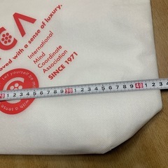 大きめ保冷バックの画像