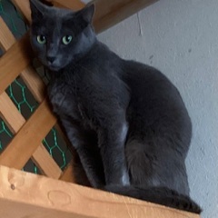 ちょっとビビりの美人さん