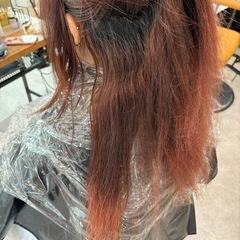 【🚨急募🚨12/11 18:00~】酸性ストレートモデル募…