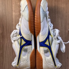 【候補者内定】卓球シューズの画像