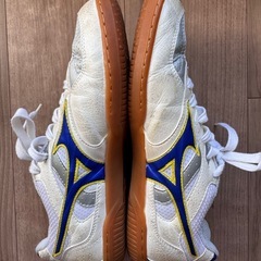 【候補者内定】卓球シューズの画像