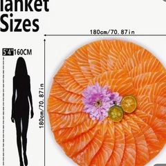 サーモン デザイン ブランケット　2,774円の画像