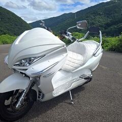 フォルツァの画像