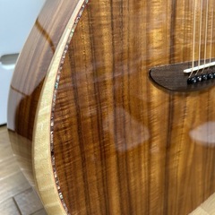 DCTJapan GR-747KCE アコースティックエレアコの画像