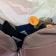 Ｄ95ブラジャーの画像