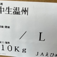愛媛産中生温州みかんLサイズ1箱の画像