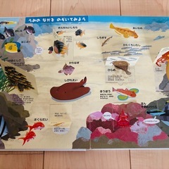 はっけんずかん3セット、昆虫記の画像