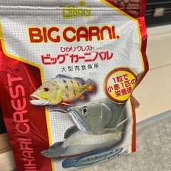 90センチ水槽の画像