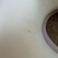 円座クッションの画像