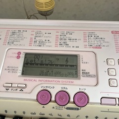 光ナビルーチェの画像