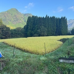 【30キロ40袋限定】令和７年　新米　ヒノヒカリ　南阿蘇産　の画像