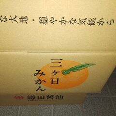 みかん1箱の画像