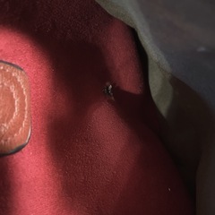 トート バッグ レディース ショルダー レザー 合皮 ワインの画像