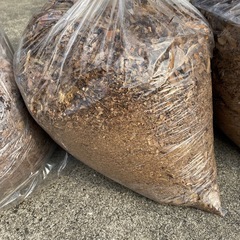 落ち葉ー堆肥用シュレッダー済み⓵の画像