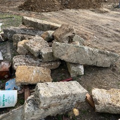 石、琉球石灰岩？
の画像