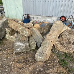 石、琉球石灰岩？
の画像