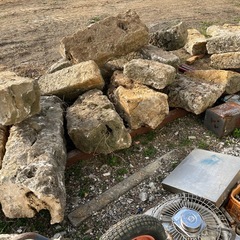 石、琉球石灰岩？
の画像