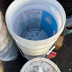 バケツの画像